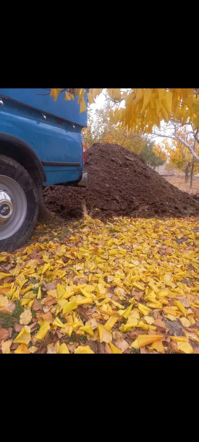 کود حیوانی|خدمات باغبانی و درختکاری|چناران, |دیوار