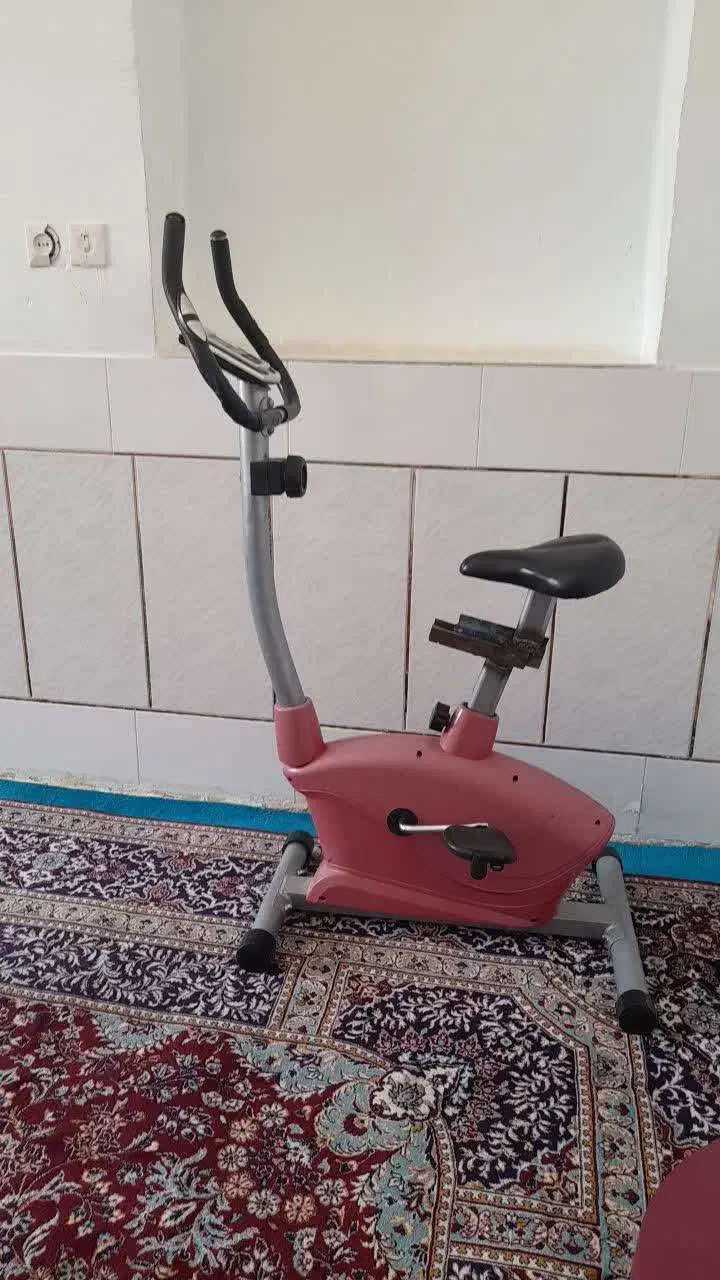 دوچرخه ثابت|تجهیزات ورزشی|اصفهان, فجر|دیوار