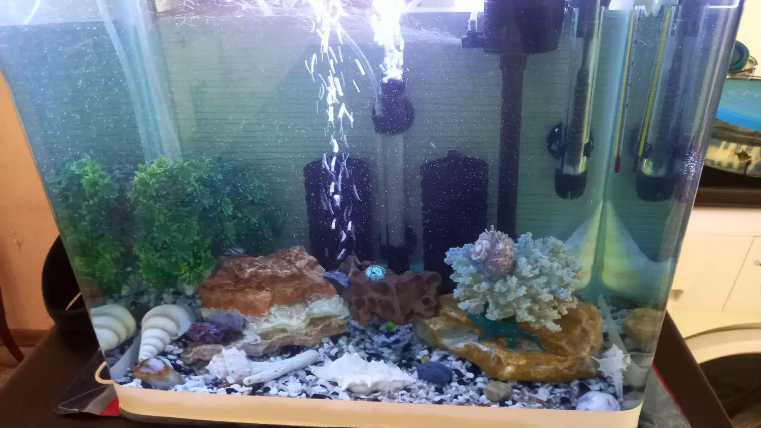 اِکواریوم باتمامیلوازم لوکسوماهی|ماهی|تبریز, |دیوار