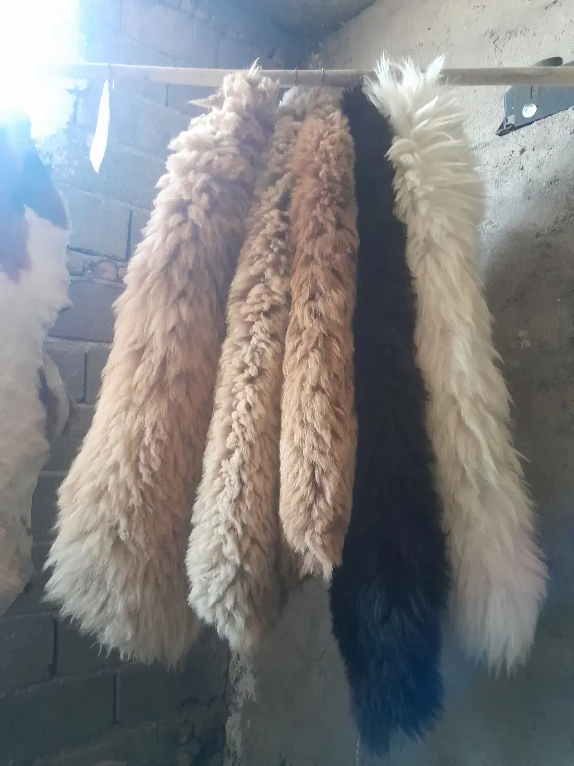 زیر انداز پشمی *تبریز|روفرشی|تهران, جهاد|دیوار