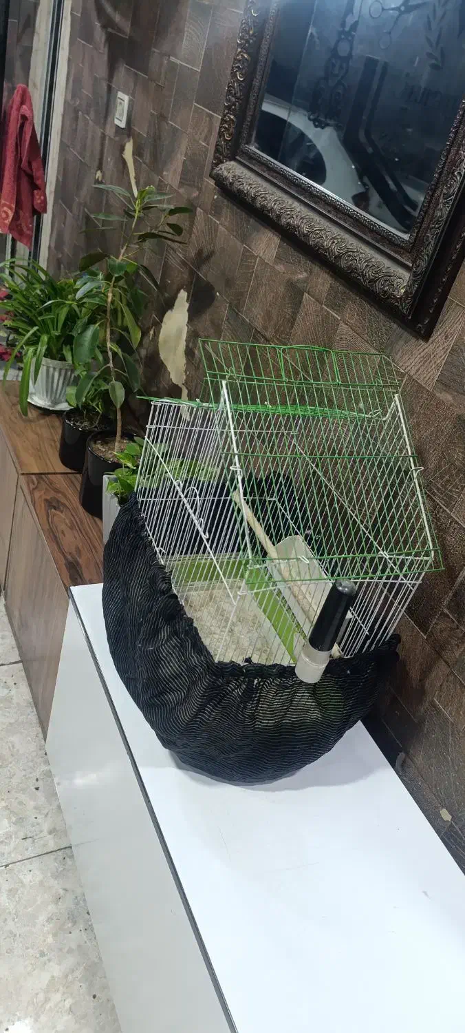 قفس دو تا|لوازم جانبی حیوانات|شهر ری, شهرک نظامی|دیوار