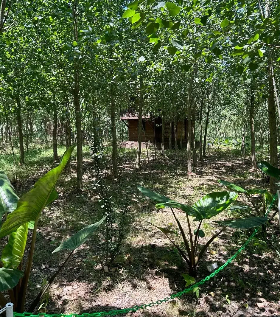 چالش جذاب سرمایه گذاری ،ویلا جنگلی خاص|فروش خانه و ویلا|سرپل ذهاب, |دیوار