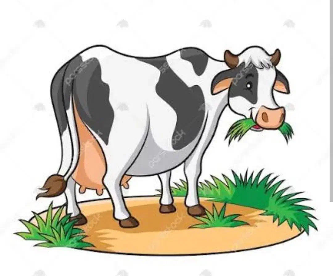 کارگر گاوداری|استخدام صنعتی، فنی، مهندسی|سبزوار, رباط|دیوار