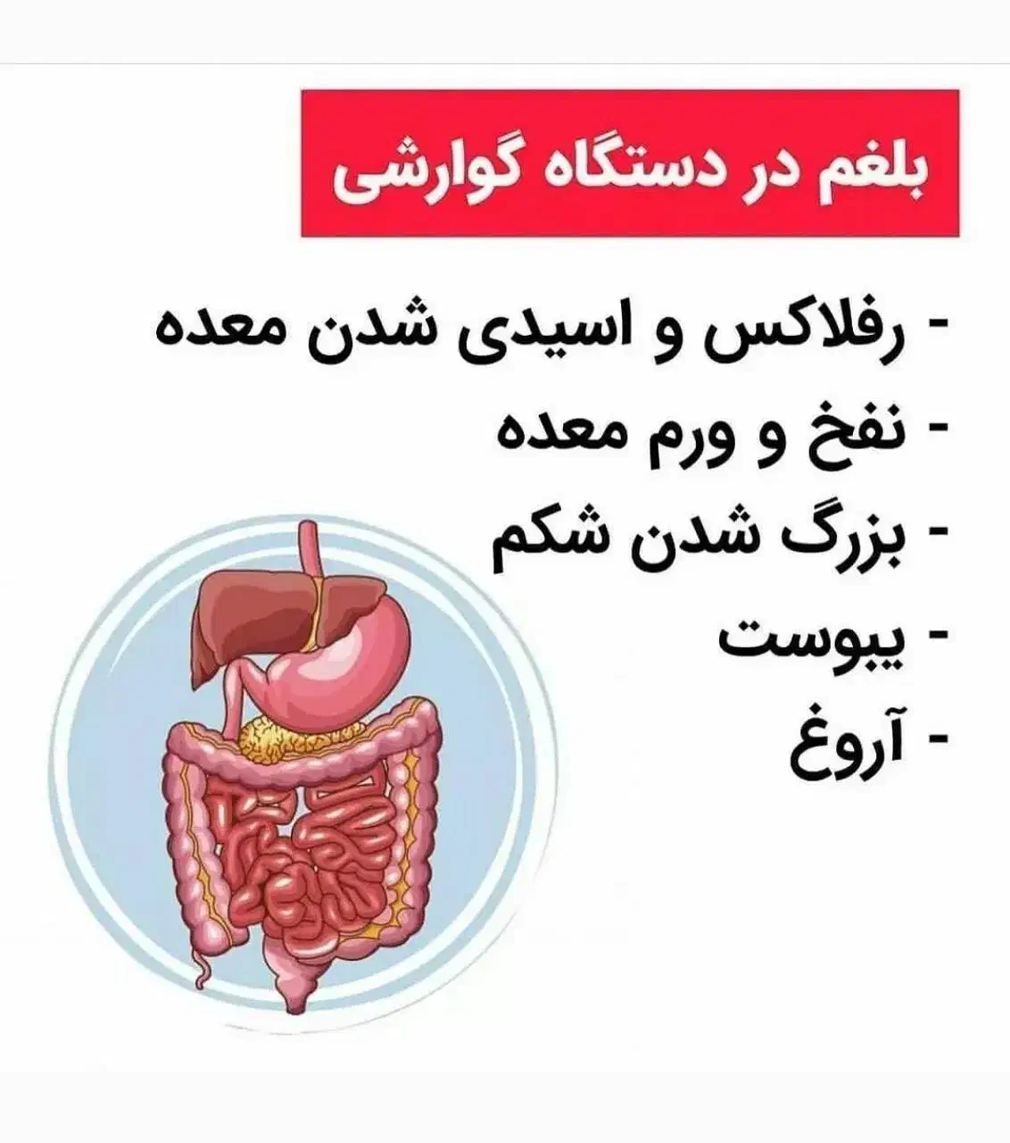 آموزش رایگان|خدمات آموزشی|کندوان, |دیوار