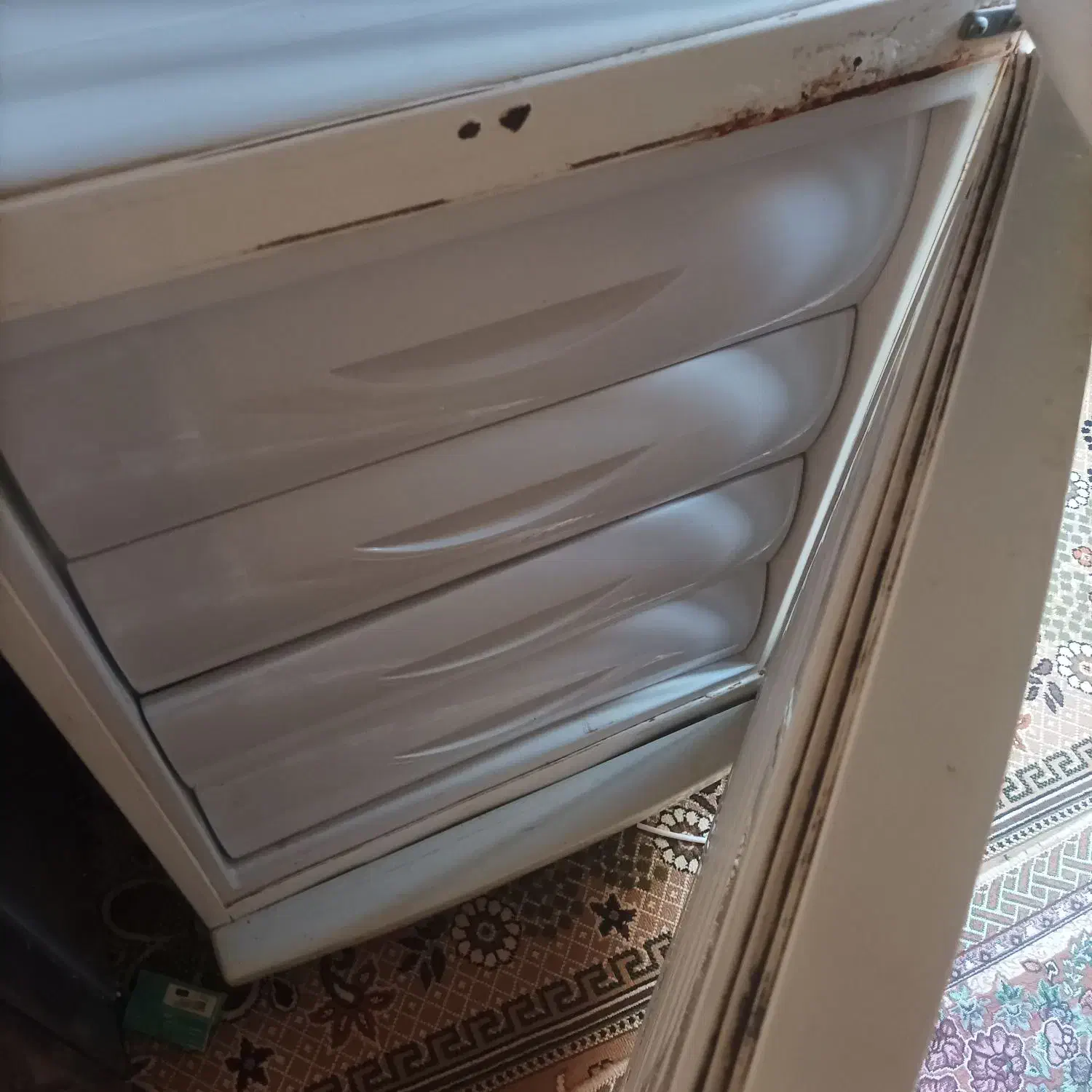 یخچال ‌|یخچال و فریزر|میبد, |دیوار