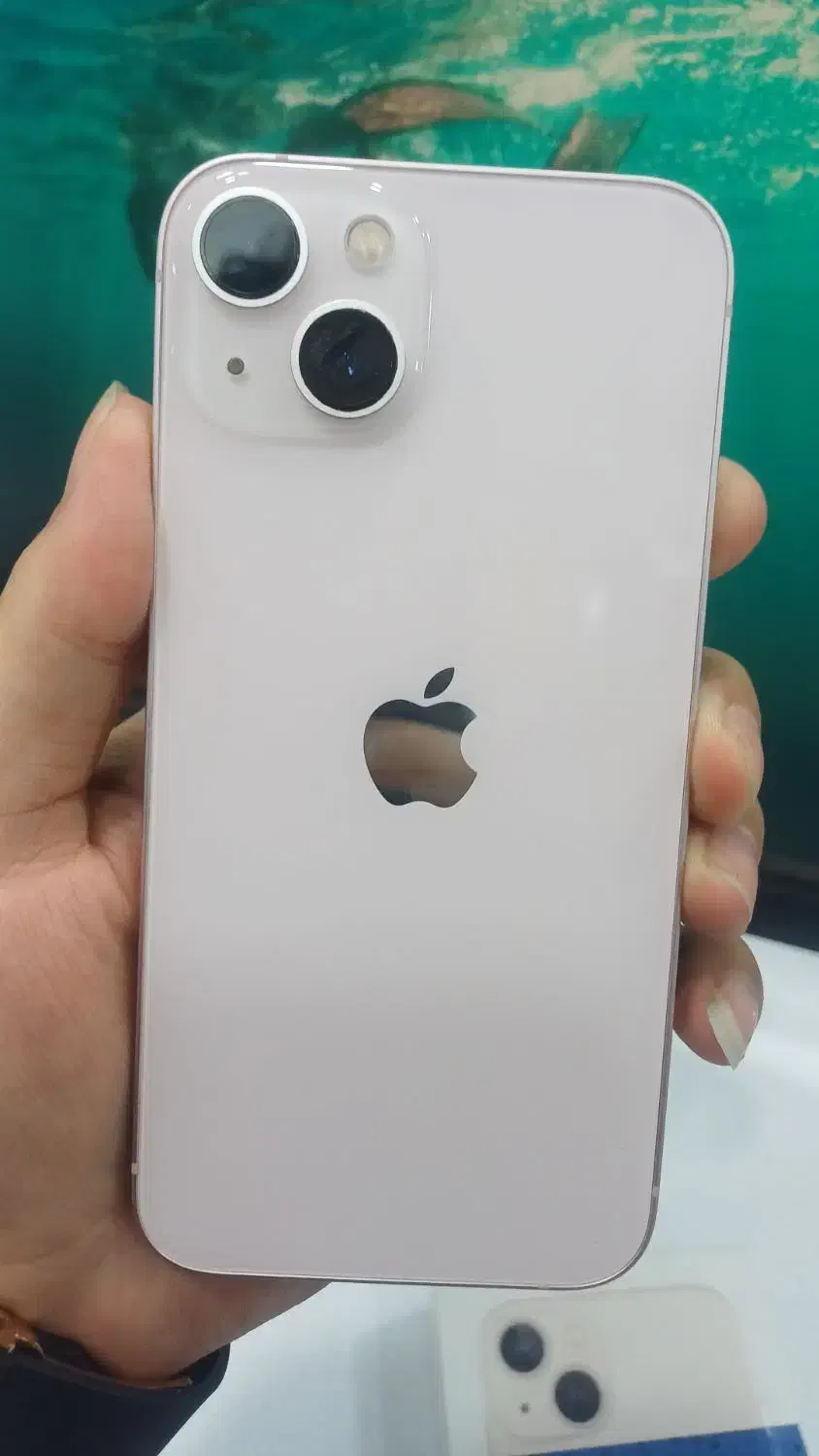 گوشی آیفون ۱۳ نرمال|موبایل|فردیس, شهرک ارم|دیوار