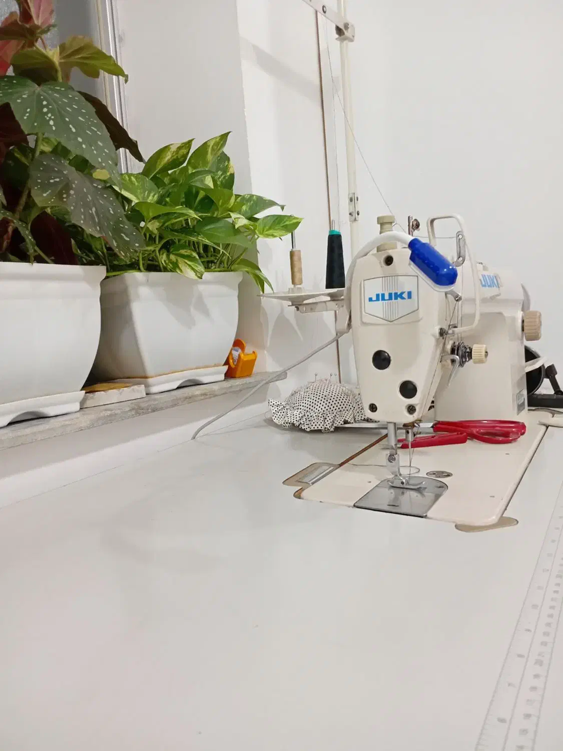 چرخ خیاطی جک فروشی فوری|چرخ خیاطی و ریسندگی|بندر گز, |دیوار