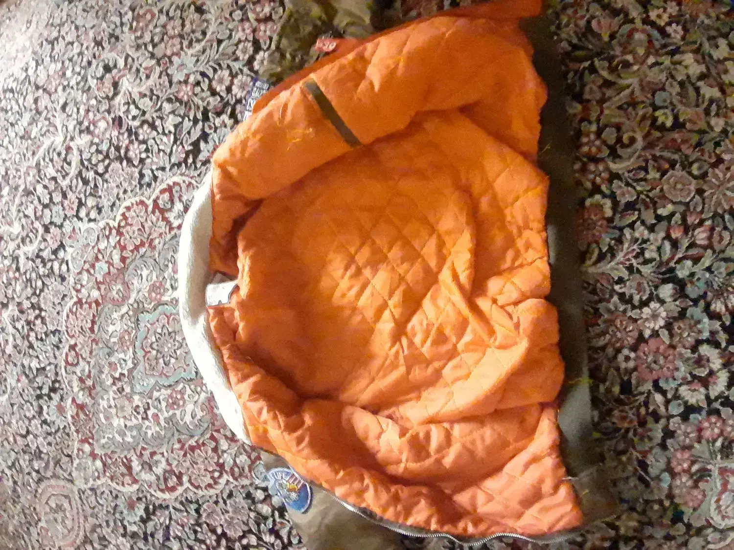 کافشن خلبانی|لباس|بروجرد, |دیوار