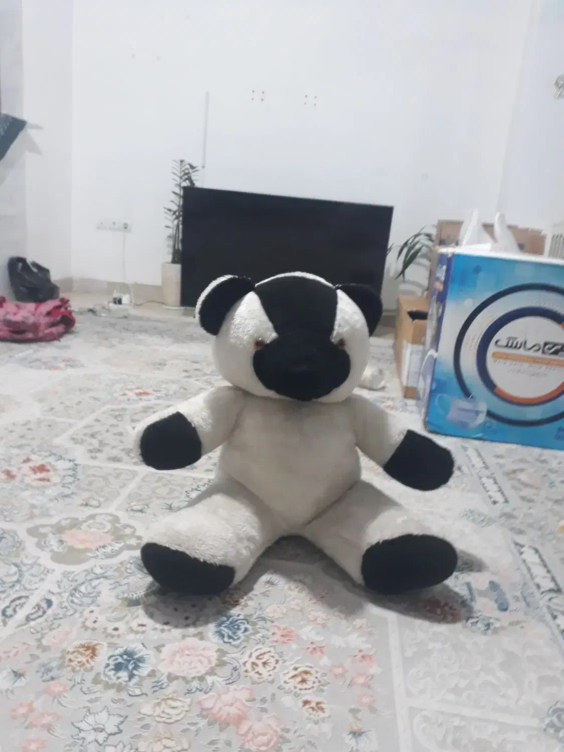 عروسک|اسباببازی بچه|سمنان, |دیوار