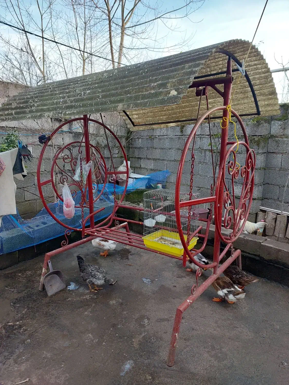 تاب باغی|اسباب‌بازی بچه|آستانه اشرفیه, |دیوار