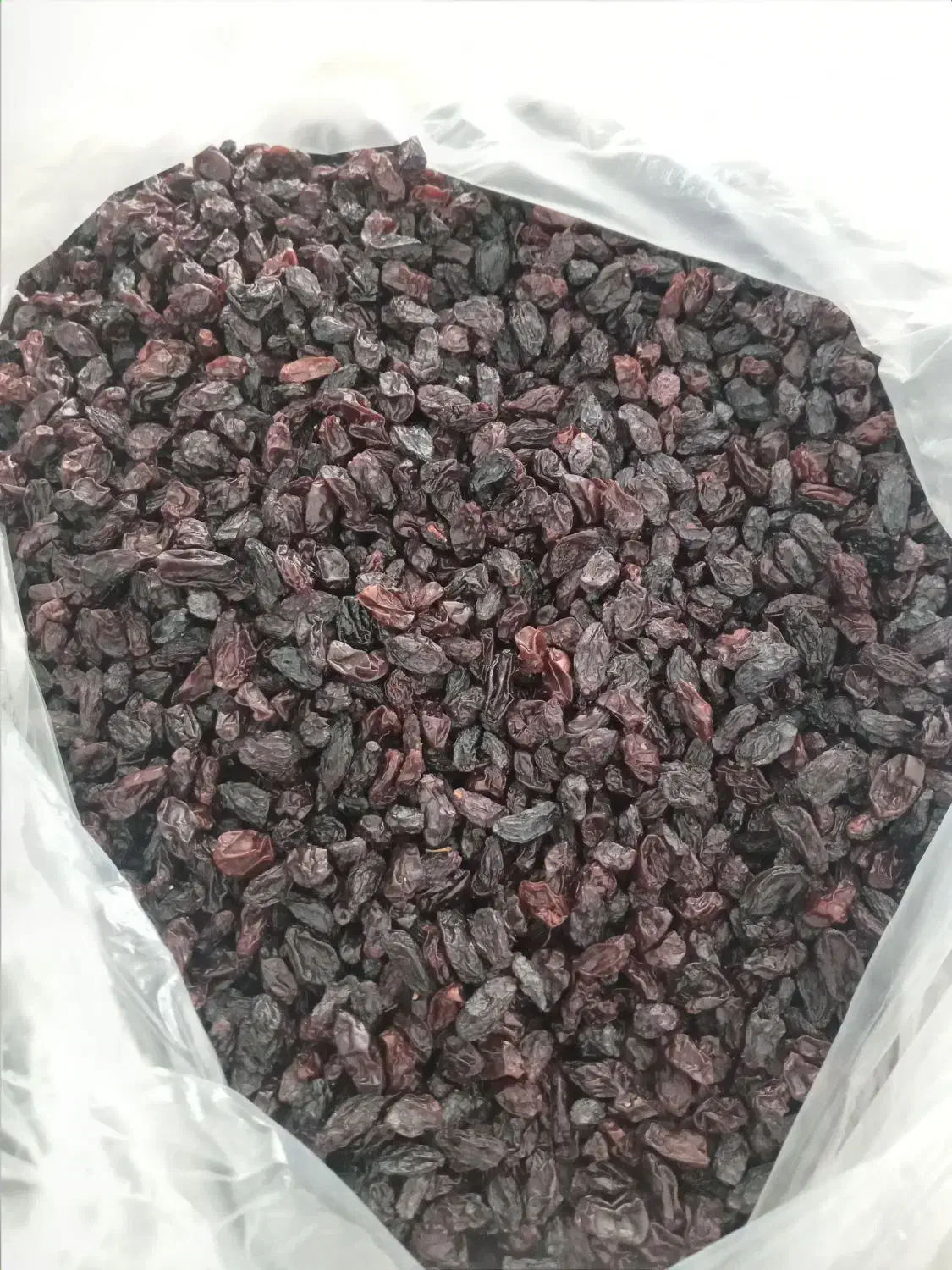 کشمش انگور|خوردنی و آشامیدنی|ایوان, |دیوار