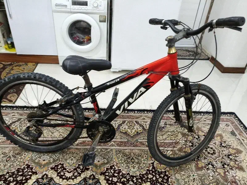 دوچرخه ویوا ۲۴|دوچرخه، اسکیت، اسکوتر|اهواز, کوی جانبازان(دانش)|دیوار