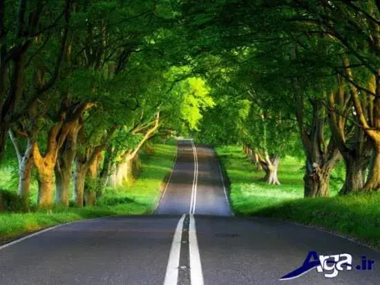 تورهای مسافرتی عصر جدید|تور و چارتر|اردبیل, |دیوار