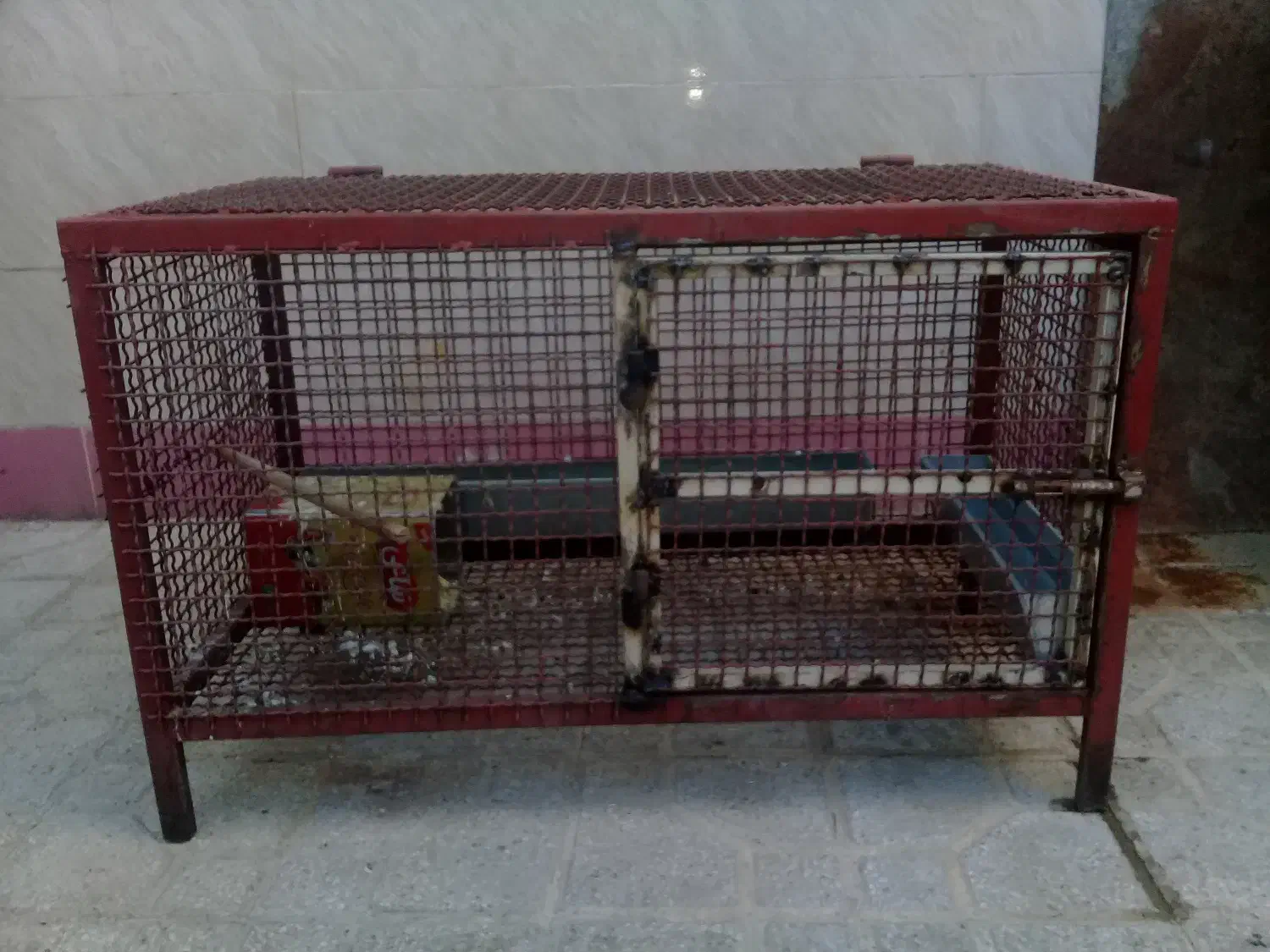 قفس|لوازم جانبی حیوانات|مرودشت, تامین اجتماعی|دیوار