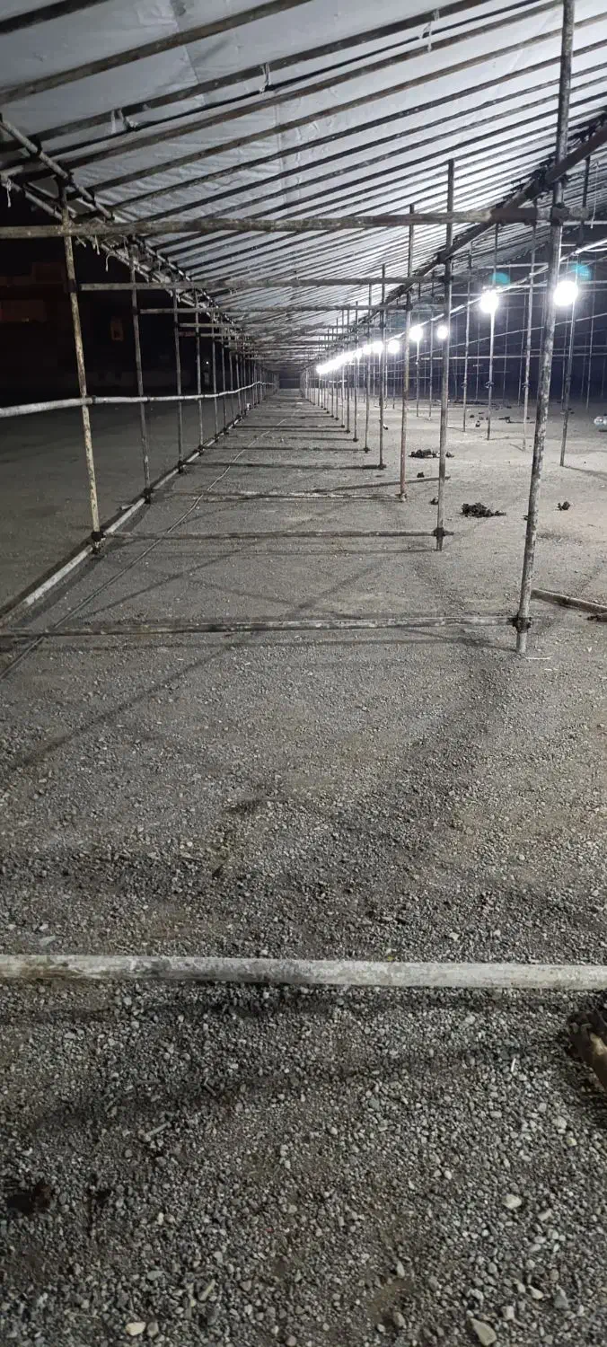 داربست فلزی اسماعیلی|خدمات پیشه و مهارت|پردیس, فاز ۱|دیوار