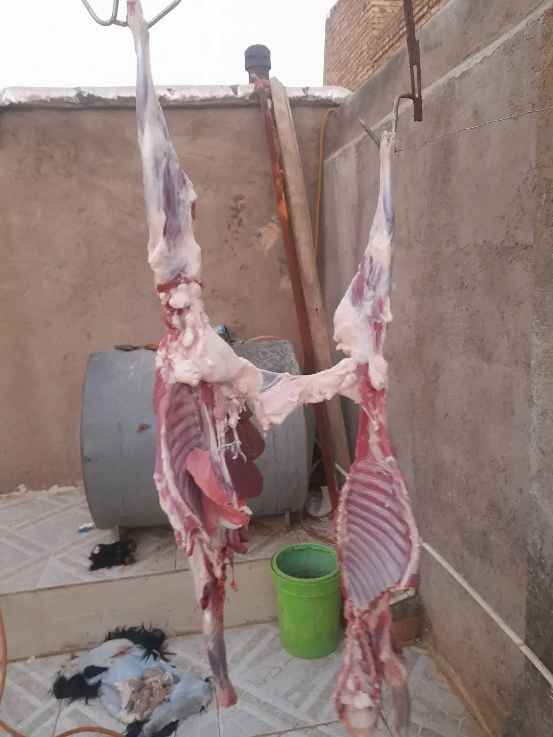 قصابی ماهر|استخدام خدمات فروشگاه و رستوران|خرم‌آباد, |دیوار