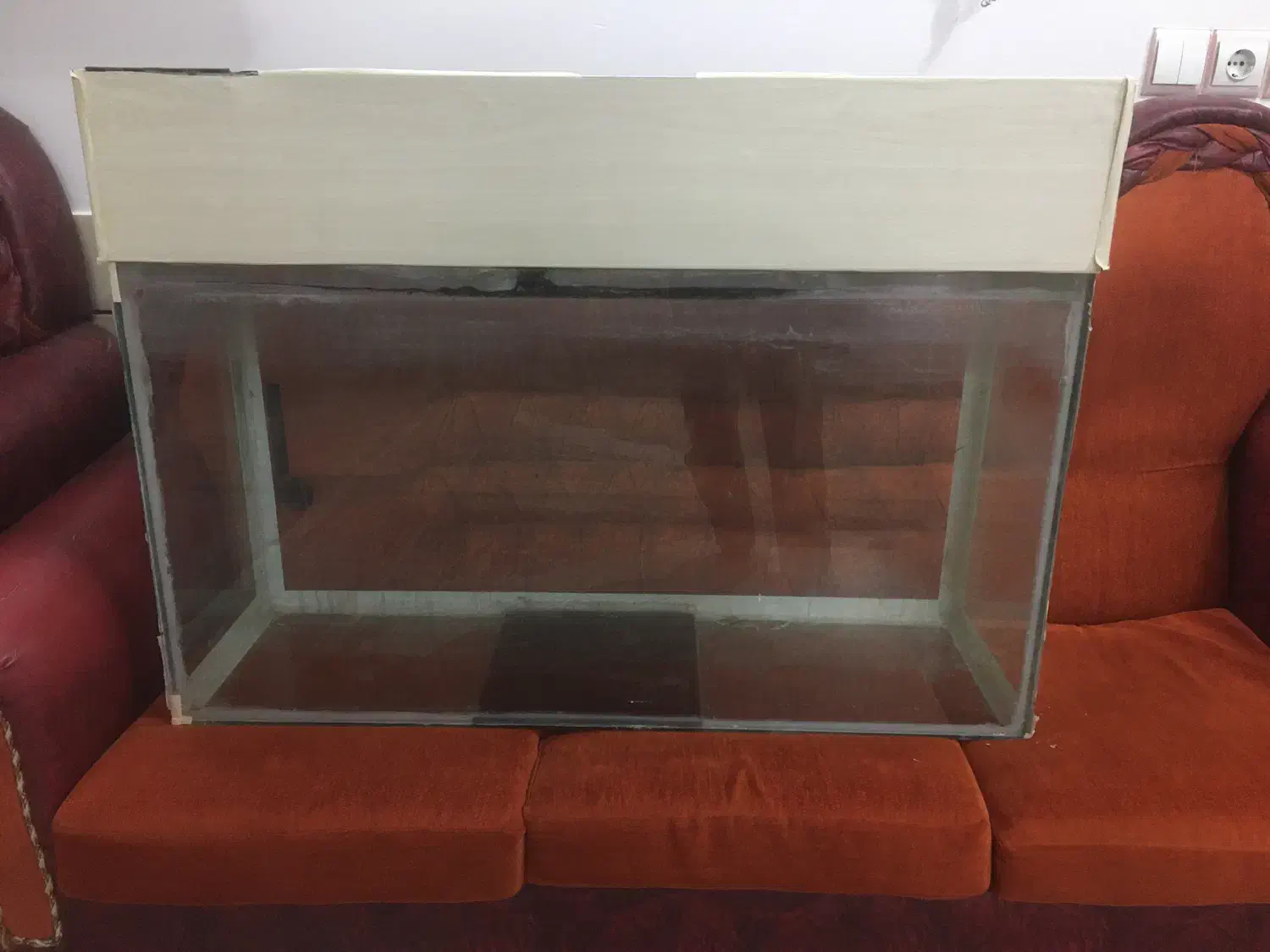 آکواریوم|ماهی|شهرضا, |دیوار