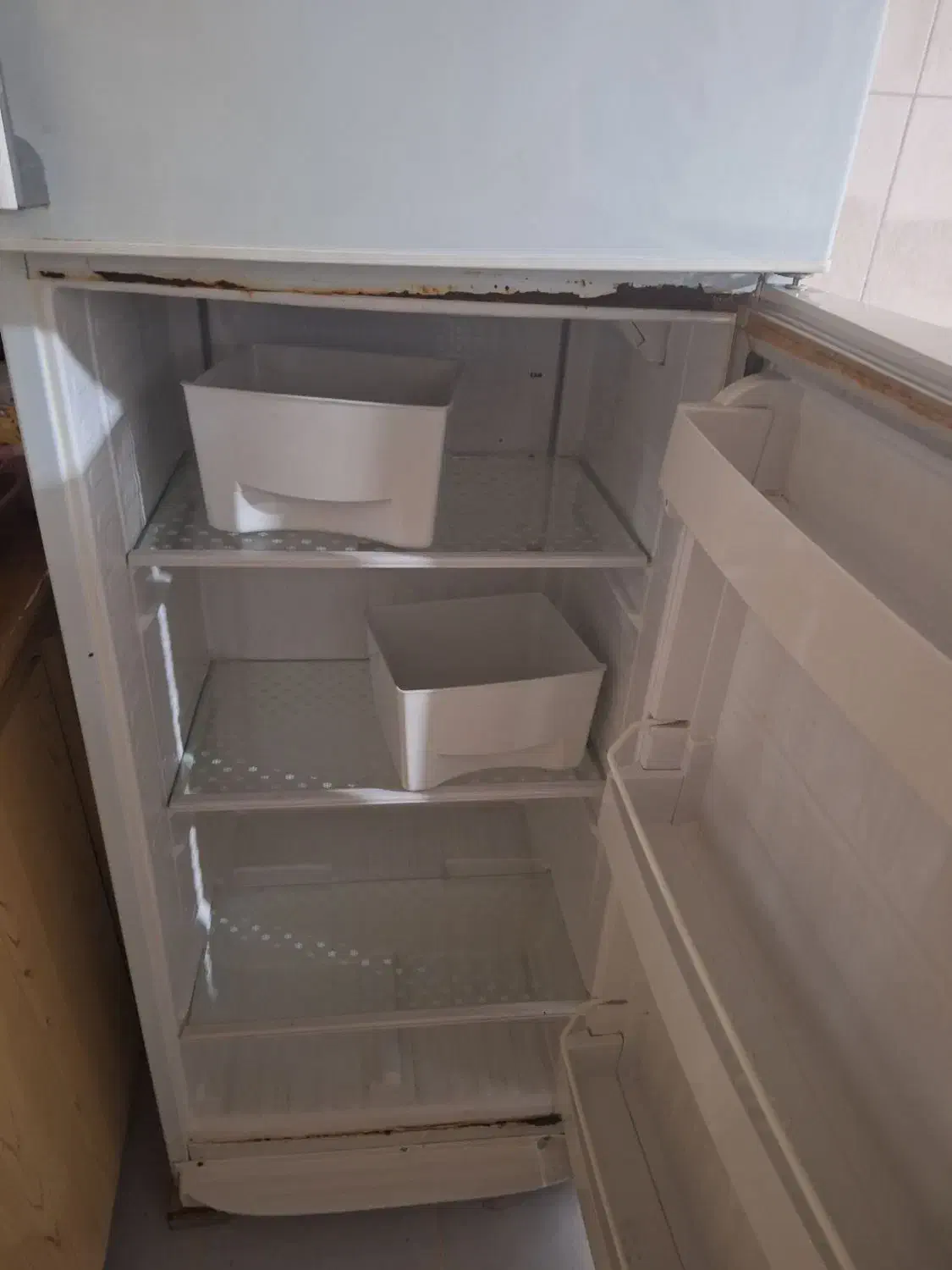 یخچال در حد نو|یخچال و فریزر|شیراز, سعدیه شمالی|دیوار