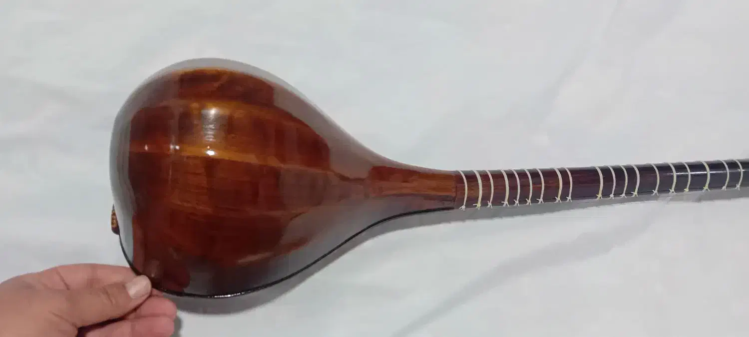 سه تار|سازهای سنتی|مشهد, پورسینا|دیوار