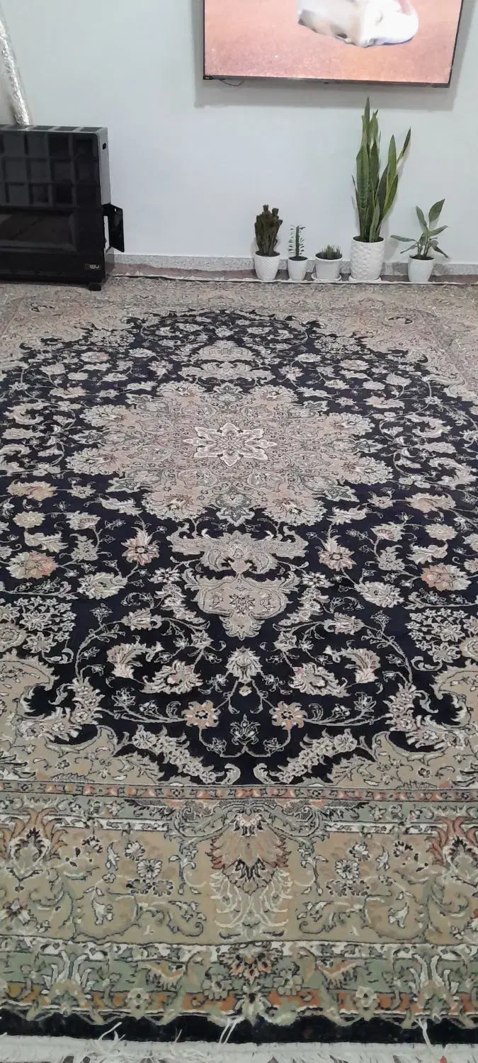 فرش ۱۲ متری|فرش|تالش, هشتپر|دیوار