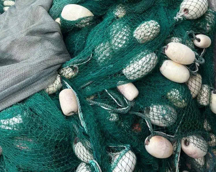 تورغلایه|ماهیگیری|بندرلنگه, |دیوار