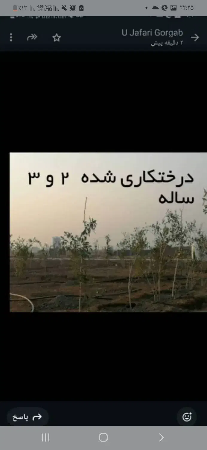 فروش زمین باغ دارای استخر و اصطبل اسب|فروش زمین و ملک کلنگی|مسجد سلیمان, |دیوار