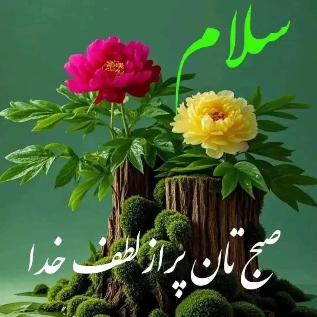 تدوین و ادیت ویدیو|خدمات رایانه‌ای و موبایل|یزد, |دیوار