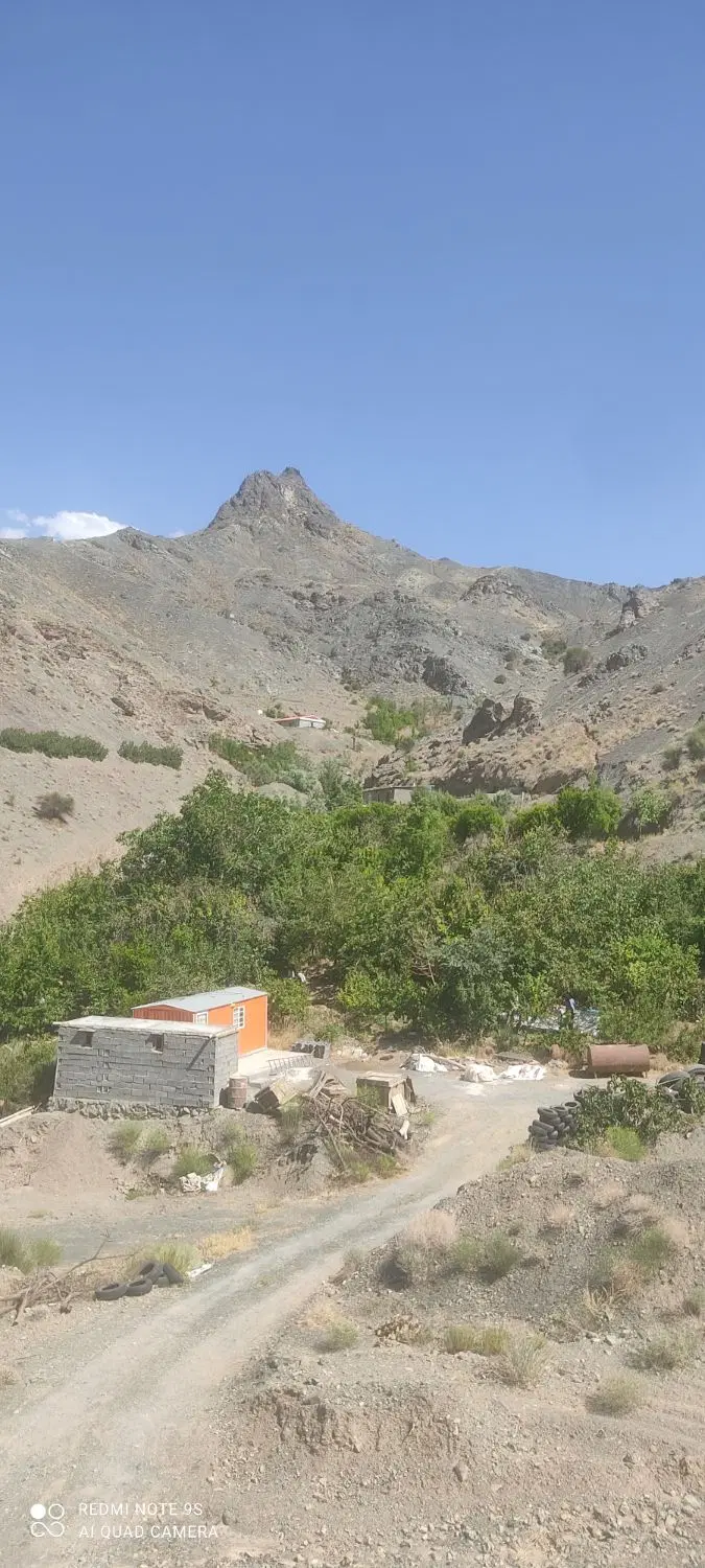 تصویر اصلی