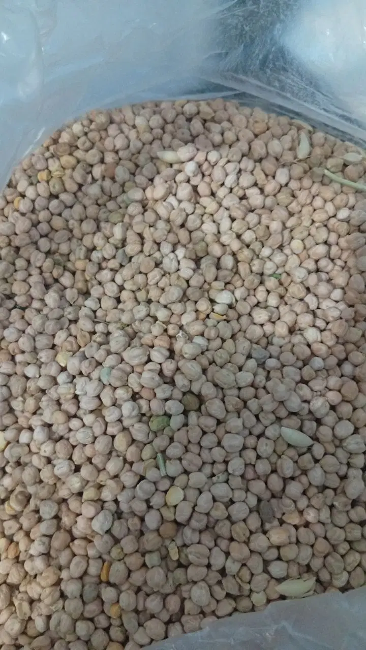 نخود|خوردنی و آشامیدنی|بندرعباس, |دیوار