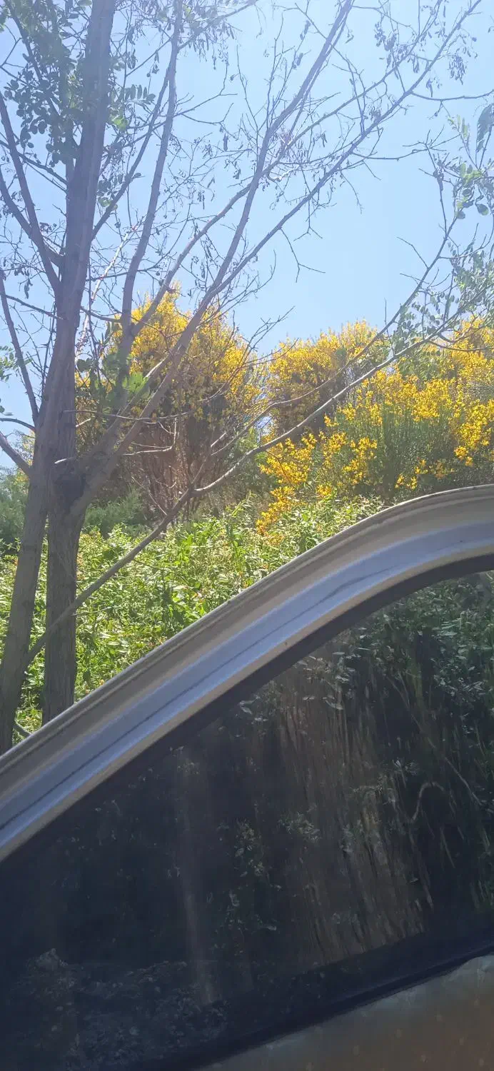 ماشین|خودرو سواری و وانت|ایرانشهر, |دیوار