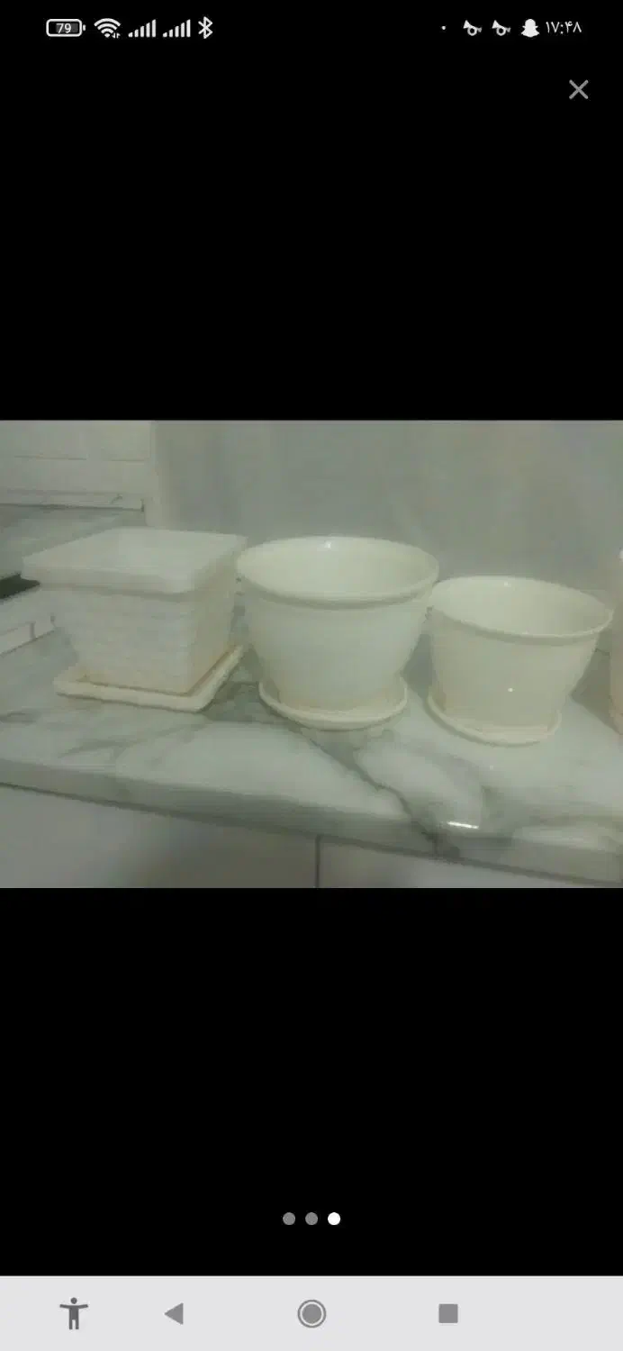 گلدان پلاستیکی|گل و گیاه طبیعی|بهارستان, |دیوار