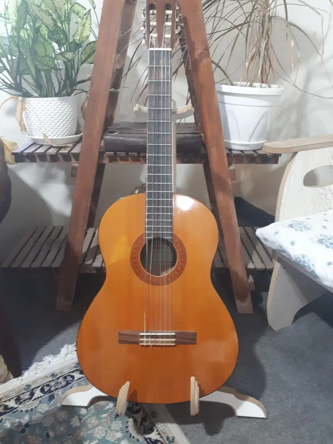 گیتار یاماها اصل|گیتار، بیس، امپلیفایر|چالوس, |دیوار