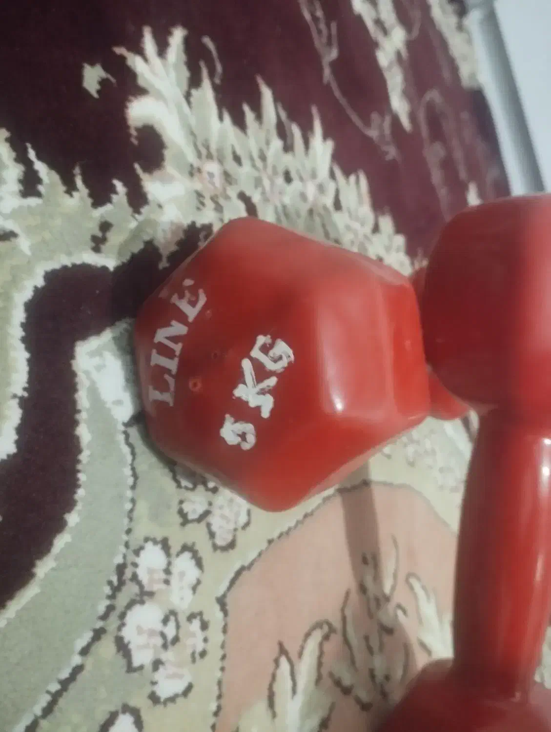دمبل 5 کیلویی|تجهیزات ورزشی|قرچک, داوود آباد|دیوار