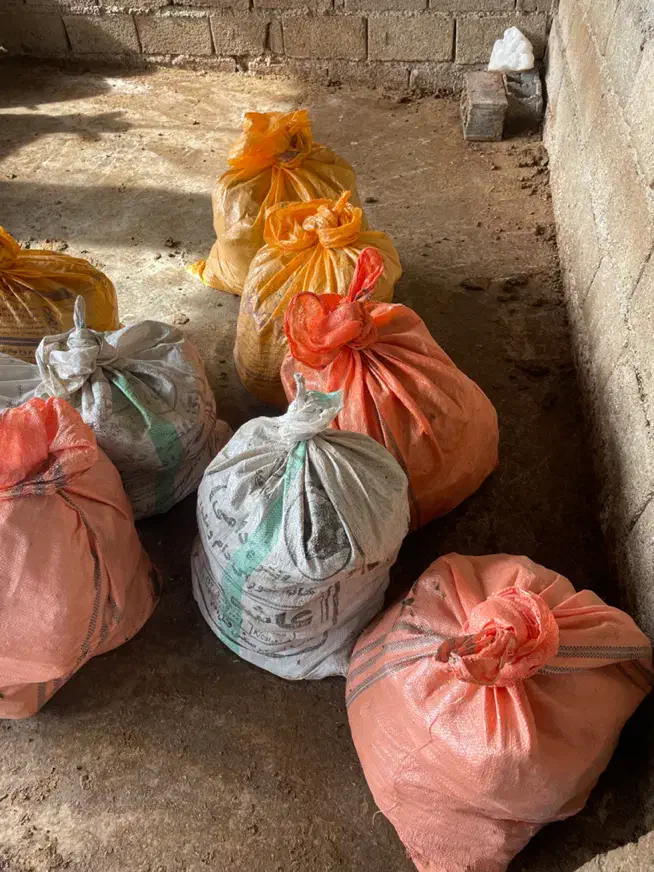 گود حیوانی(موگ)|لوازم جانبی حیوانات|گلوگاه بابل (گلیا), |دیوار