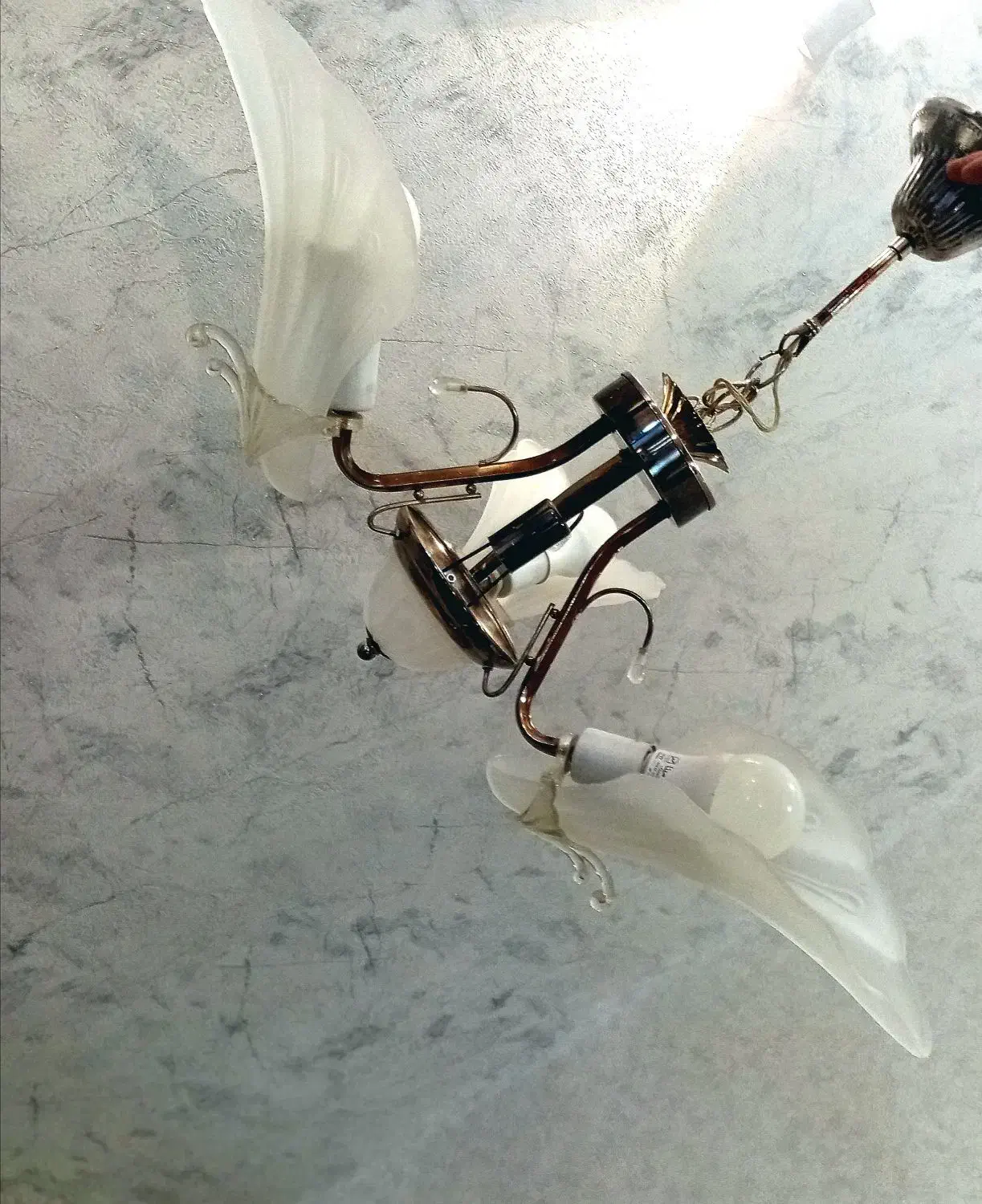 لوستر|لوستر و چراغ آویز|فولادشهر, B7|دیوار