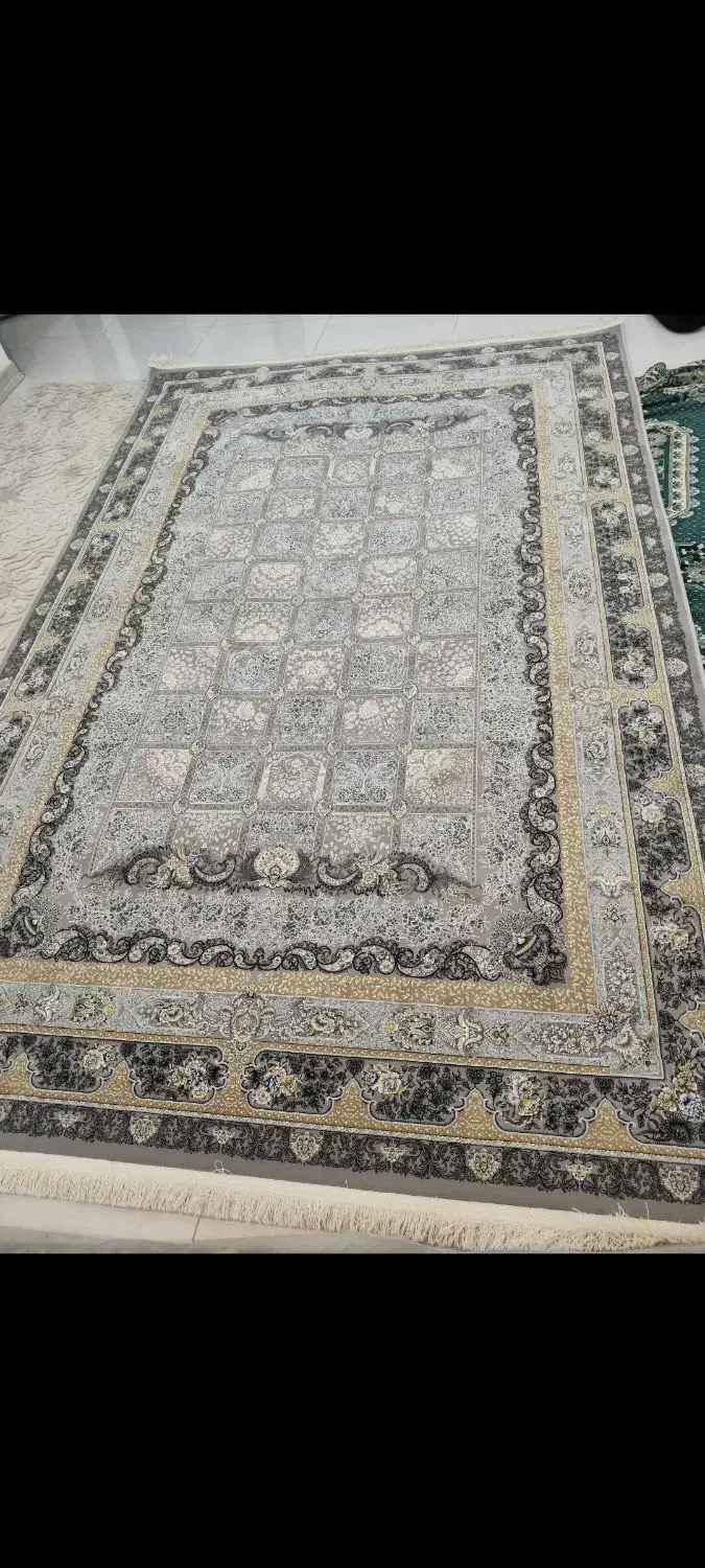 فرش ۶ متری پاتریس|فرش|کرمانشاه, |دیوار