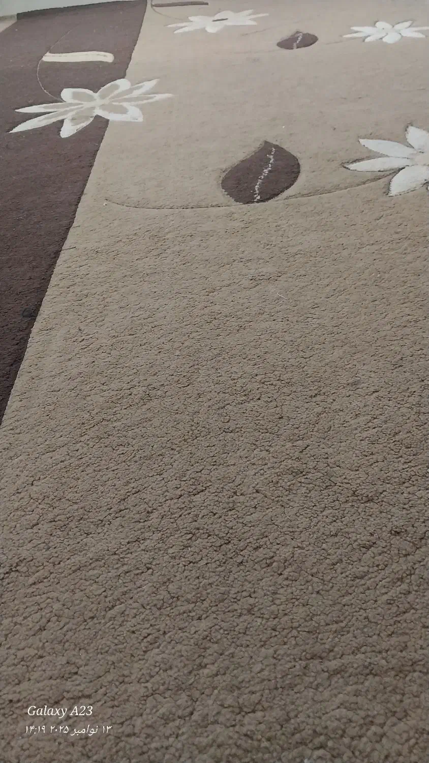 دو عدد فرش|فرش|سوسنگرد, |دیوار