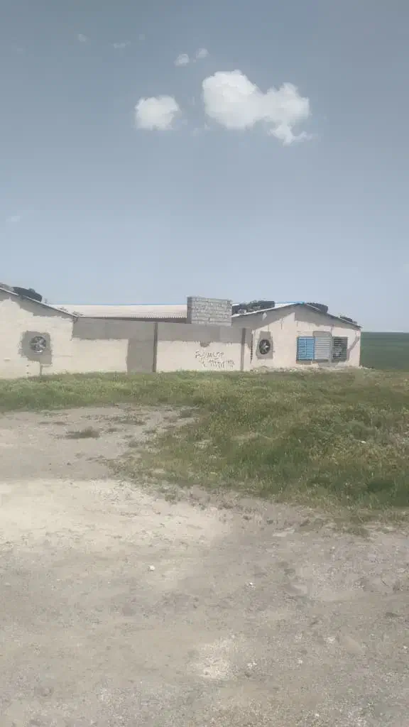 مرغداری ۲۶ هزار قطعه گوشتی|فروش دفتر صنعتی، کشاورزی، تجاری|نمین, |دیوار