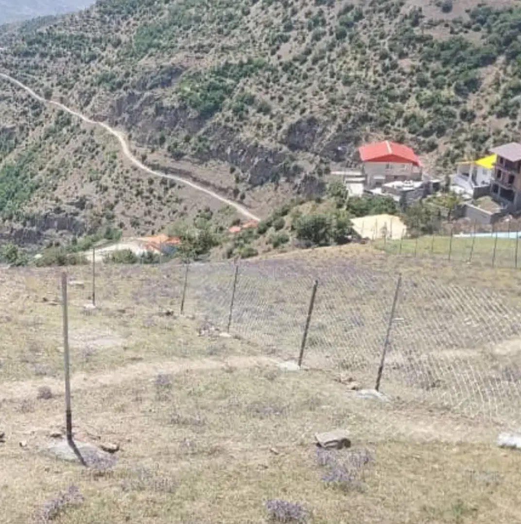 فروش زمین مسکونی در شهر الاشت|فروش زمین و ملک کلنگی|آلاشت, |دیوار