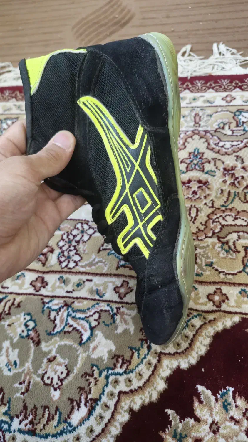 کفش کشتی|تجهیزات ورزشی|زیرکوه, |دیوار