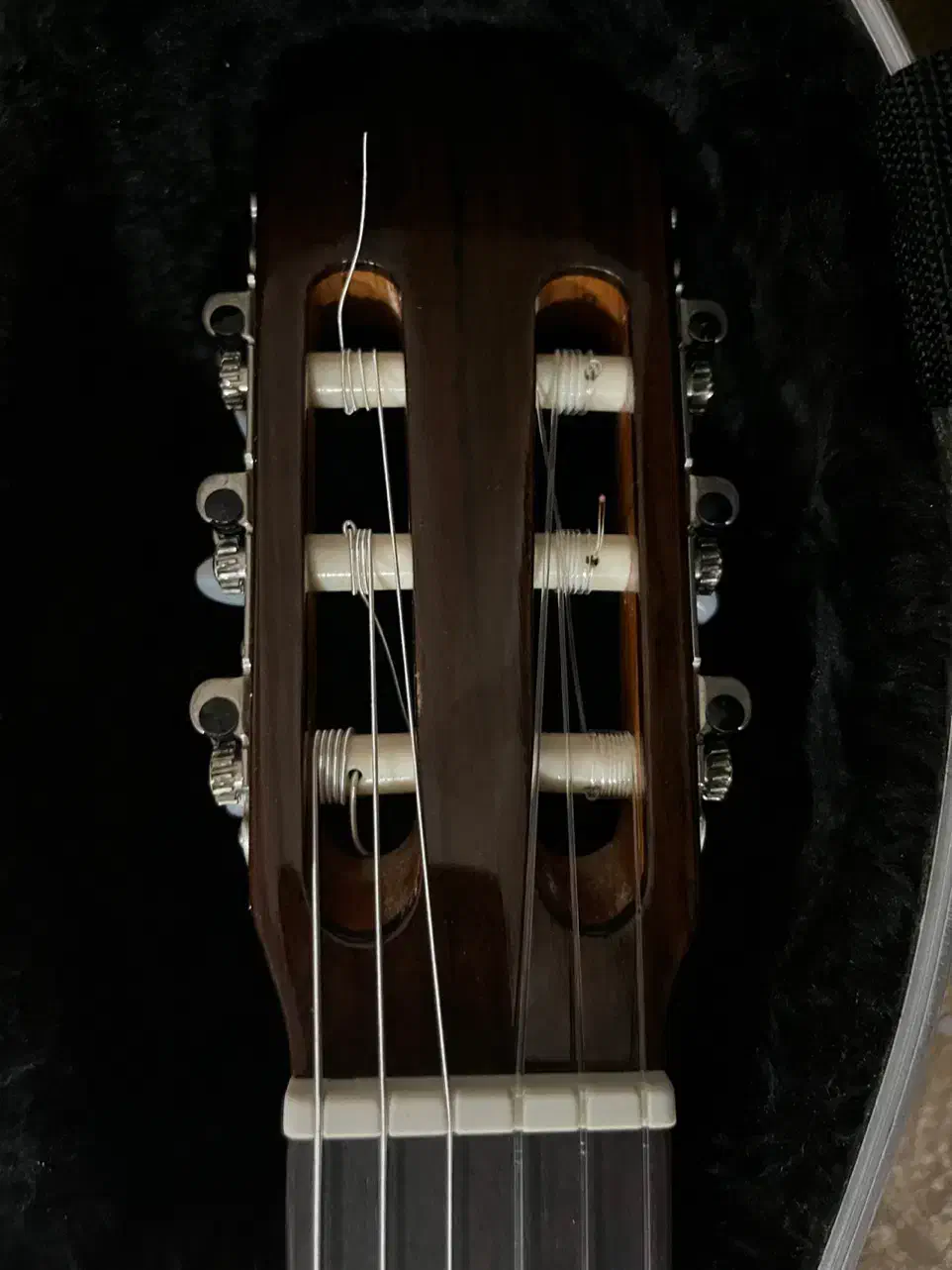 گیتار فلامنکو پیکابدار esteve|گیتار، بیس، امپلیفایر|تهران, آبشار|دیوار