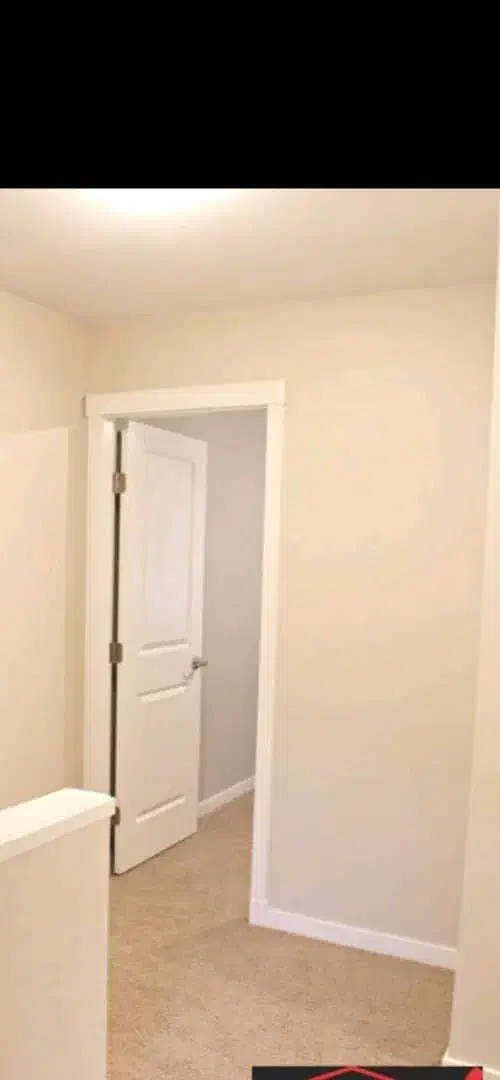 رنگ آمیزی ساختمان|خدمات پیشه و مهارت|اهواز, گلستان|دیوار