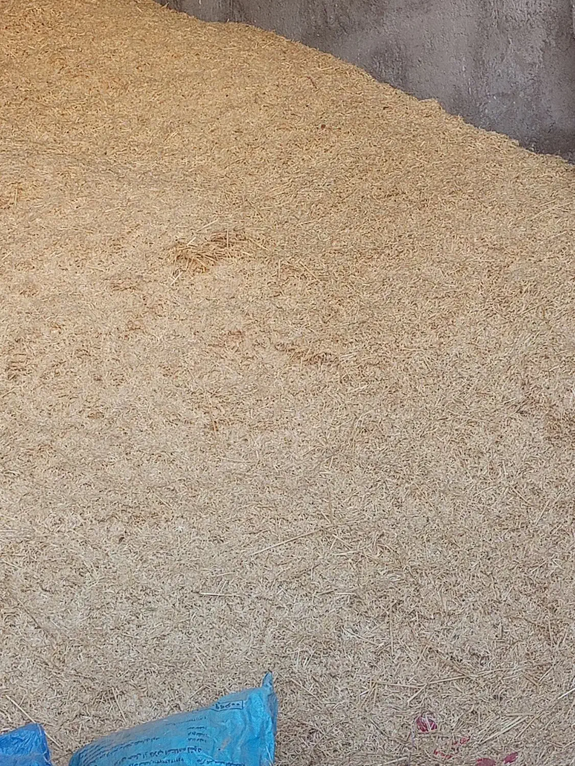 کاه گندم|لوازم جانبی حیوانات|بهمن صغاد, |دیوار