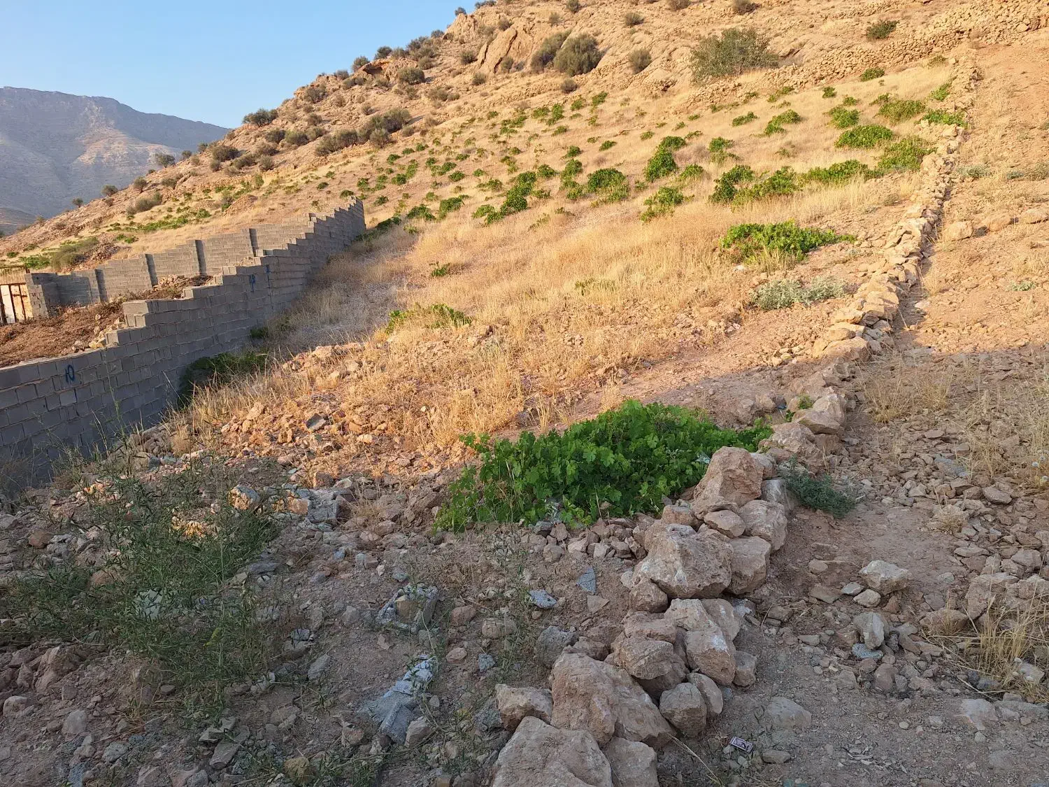 ۳۰۰متر زمین تفکیک شده مناسب انبار و کارگاه|فروش زمین و ملک کلنگی|شیراز, پایانه مسافربری سعدی|دیوار