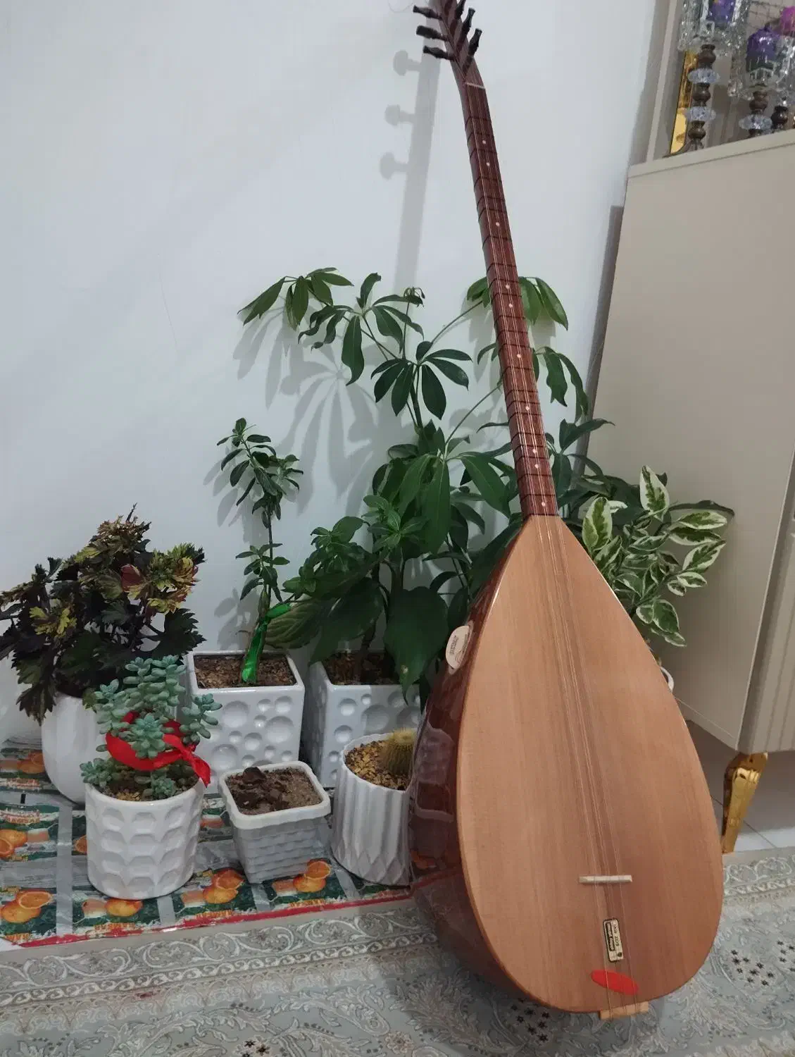 باغلاما|سازهای سنتی|مهاباد (آذربایجان غربی), |دیوار