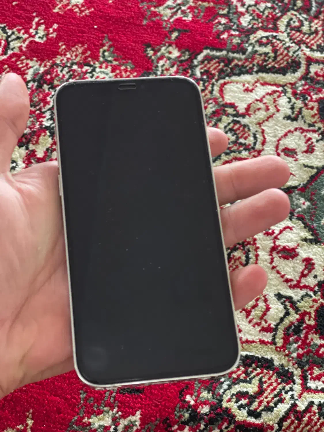 iphone12pro256|موبایل|رشت, گلباغ نماز|دیوار