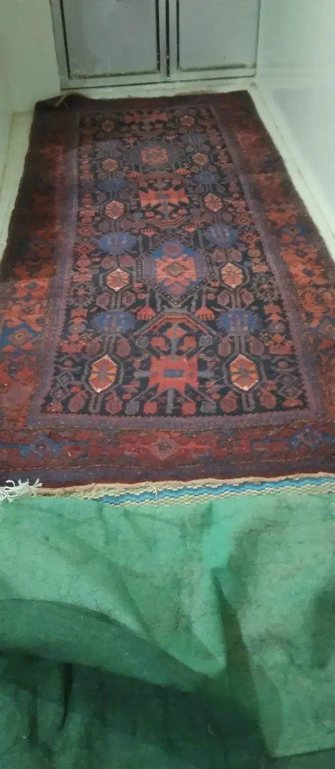 قالی دست بافت قدیمی|فرش|دهگلان, |دیوار