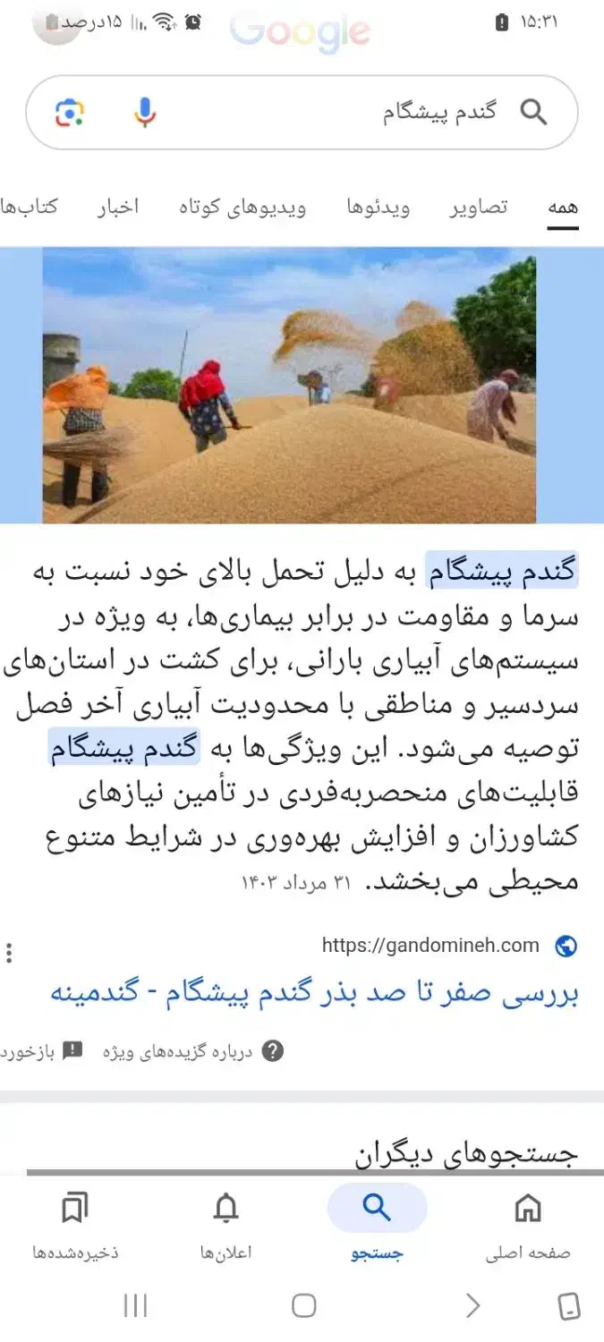 گندم|خدمات باغبانی و درختکاری|سراب, |دیوار