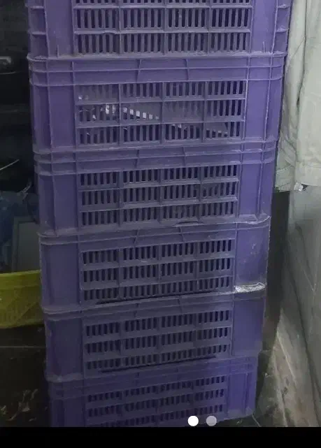 سبد سبز رنگ|ظروف نگهدارنده، پلاستیکی، یک‌بارمصرف|ری, علایین|دیوار