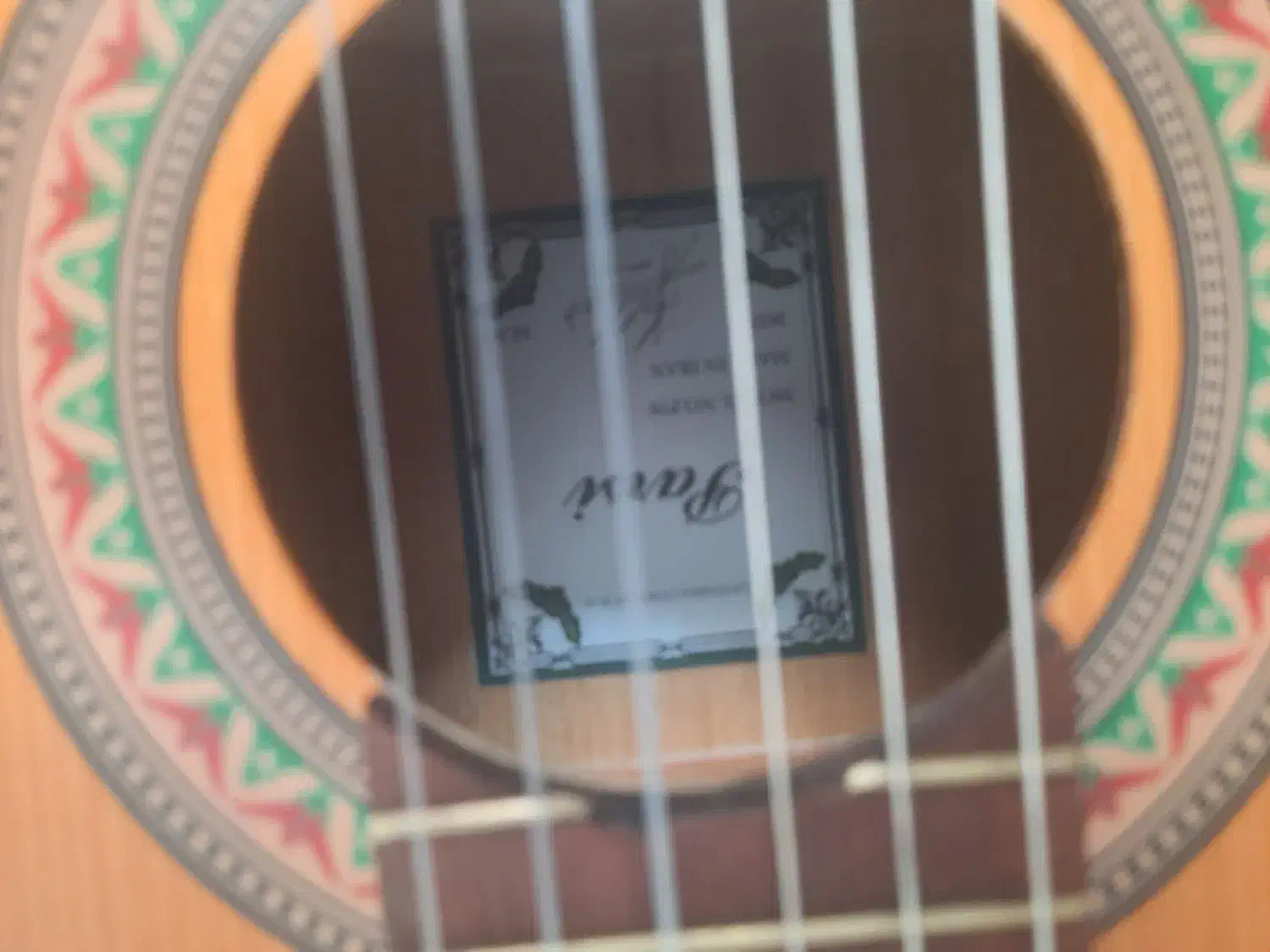 گیتار|گیتار، بیس، امپلیفایر|شیراز, انجیر|دیوار